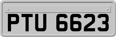 PTU6623