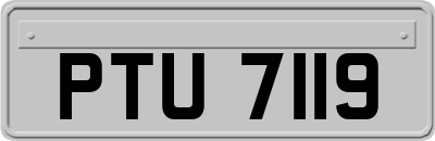 PTU7119