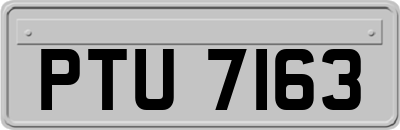PTU7163