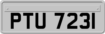 PTU7231