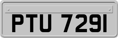 PTU7291