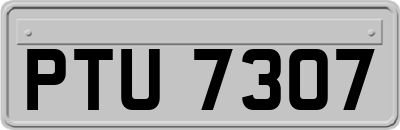 PTU7307