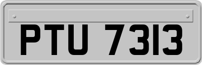 PTU7313
