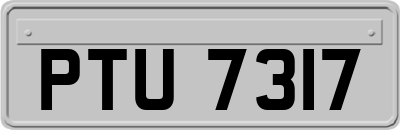 PTU7317