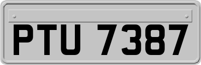 PTU7387