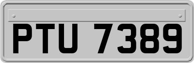 PTU7389