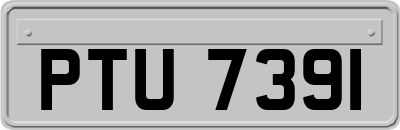 PTU7391