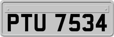 PTU7534