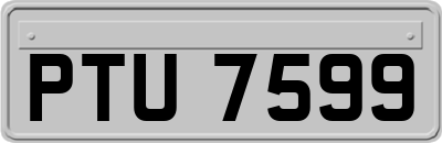 PTU7599