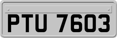 PTU7603