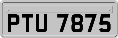 PTU7875