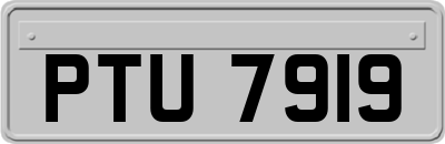 PTU7919
