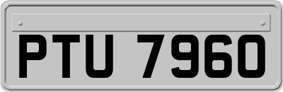 PTU7960