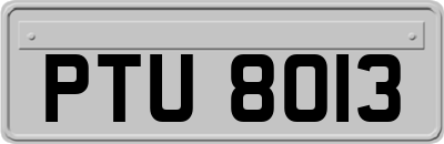 PTU8013