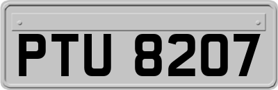 PTU8207