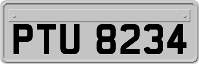 PTU8234