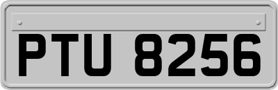 PTU8256