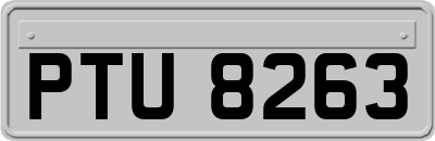 PTU8263