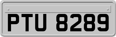 PTU8289