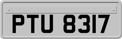 PTU8317