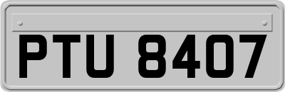 PTU8407