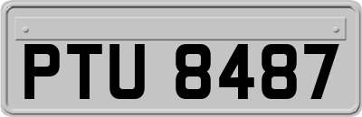 PTU8487