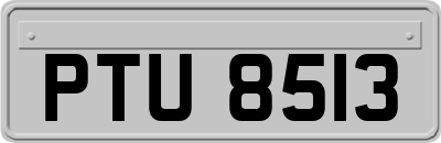 PTU8513