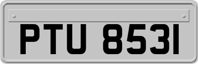 PTU8531