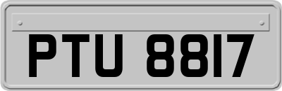 PTU8817