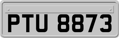 PTU8873