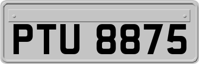 PTU8875