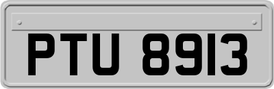 PTU8913