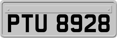 PTU8928