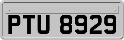 PTU8929