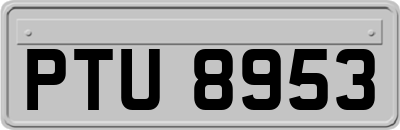 PTU8953