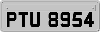 PTU8954