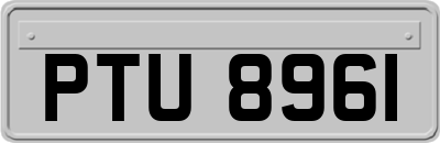 PTU8961
