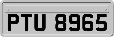 PTU8965