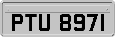 PTU8971