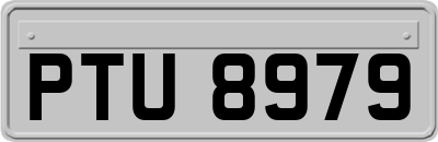 PTU8979