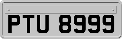 PTU8999