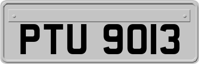 PTU9013