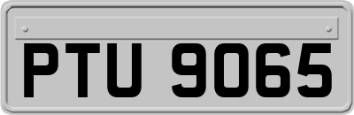 PTU9065