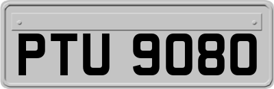 PTU9080