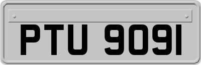 PTU9091