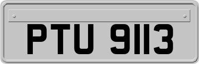 PTU9113