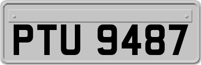 PTU9487