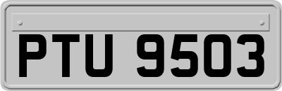 PTU9503