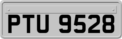 PTU9528