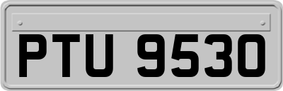 PTU9530